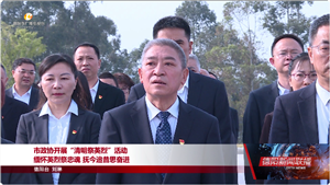 市政协开展“清明祭英烈”活动 缅怀英烈祭忠魂 抚今追昔思奋进