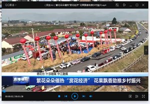 繁花朵朵催热“赏花经济” 花果飘香助推乡村振兴