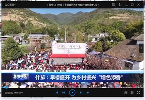 什邡：早樱盛开 为乡村振兴“增色添香”