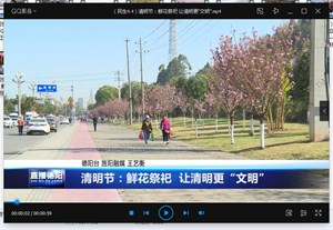 清明节：鲜花祭祀  让清明更“文明”