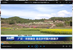 广汉：农旅融合 走出乡村振兴新路子