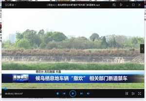 候鸟栖息地车辆“撒欢” 相关部门断道禁车