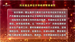 市政府常务会议召开