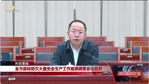 全市森林防灭火暨安全生产工作视频调度会议召开