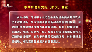 市政府召开党组（扩大）会议