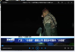 广汉：“小龙虾”提前上市 激活乡村振兴“大动能”
