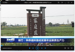 绵竹：种养循环推动发展农业新质生产力
