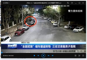 “全副武装”砸车窗盗财物  三名甘肃籍男子落网