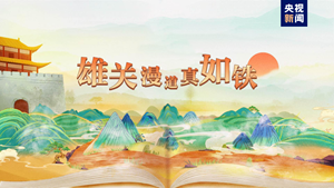 深刻领会总体国家安全观，总书记引用这些典故