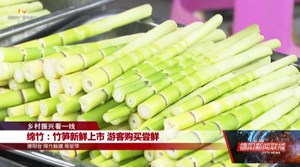乡村振兴看一线：绵竹、什邡