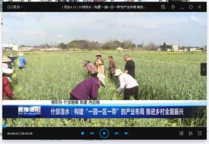 什邡洛水：构建“一园一区一带”的产业布局 推进乡村全面振兴