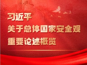 长图丨习近平关于总体国家安全观重要论述概览