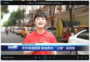 天牛幼虫扰民 除虫药水“上岗”见效快