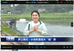 罗江调元：小龙虾激活大“钱”景