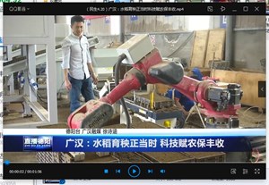 广汉：水稻育秧正当时 科技赋农保丰收