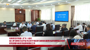 市政府召开党组（扩大）会议