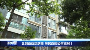 又到白蚁活跃期 居民应该如何应对？