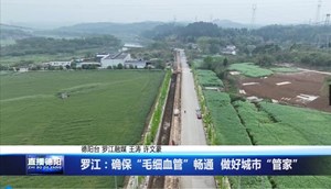 罗江：确保“毛细血管”畅通 做好城市“管家”