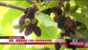 春天里的德阳：旌阳、绵竹