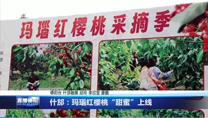什邡：玛瑙红樱桃“甜蜜”上线