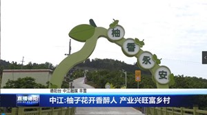 中江:柚子花开香醉人 产业兴旺富乡村