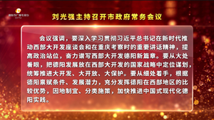 市政府召开常务会议