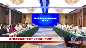珠三角地区未来产业知名企业赴德阳考察