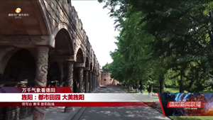 都市田园 大美旌阳