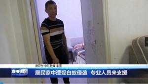 居民家中遭受白蚁侵袭  专业人员来支援