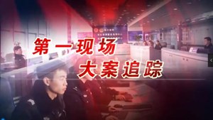 四小时锁定嫌疑人 德阳警方破获跨省入室盗窃案