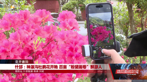 花开德阳：什邡、广汉