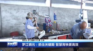 罗江调元：抓住关键期 智慧育秧更高效