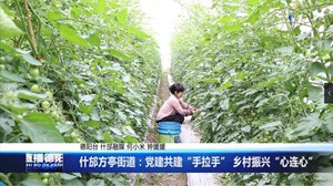 什邡方亭街道：党建共建“手拉手” 乡村振兴“心连心”