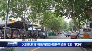 又到飘絮时 德阳城管多措并举消除飞絮“扰民”