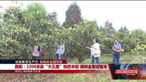 培育新质生产力 加快农业现代化：旌阳、广汉