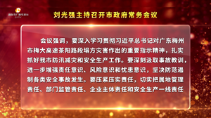 市政府召开常务会议