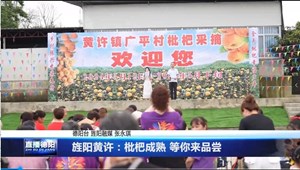 旌阳黄许：枇杷成熟 等你来品尝