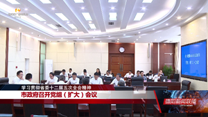 市政府召开党组（扩大）会议