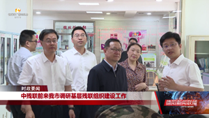 中残联前来我市调研基层残联组织建设工作
