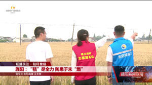 旌阳：“秸”尽全力 防患于未“燃”