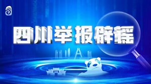 四川互联网举报辟谣平台