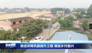 推进农网巩固提升工程 赋能乡村振兴