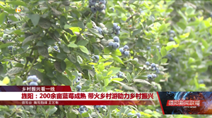 乡村振兴看一线：旌阳、什邡