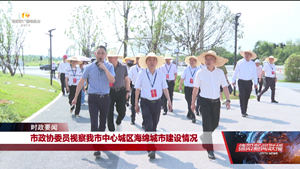 市政协委员视察我市中心城区海绵城市建设情况