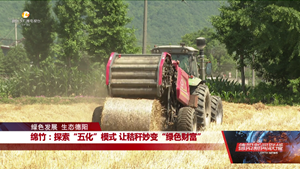 绵竹：探索“五化”模式 让秸秆妙变“绿色财富”
