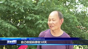 绵竹：大力实施农业社会化服务 促进农业生产节本增效