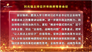 市政府召开常务会议