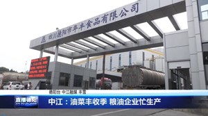 中江：油菜丰收季 粮油企业忙生产
