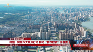 德阳：实施八大重点行动 推动“智改数转”全覆盖