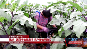 乡村振兴看一线：什邡、绵竹